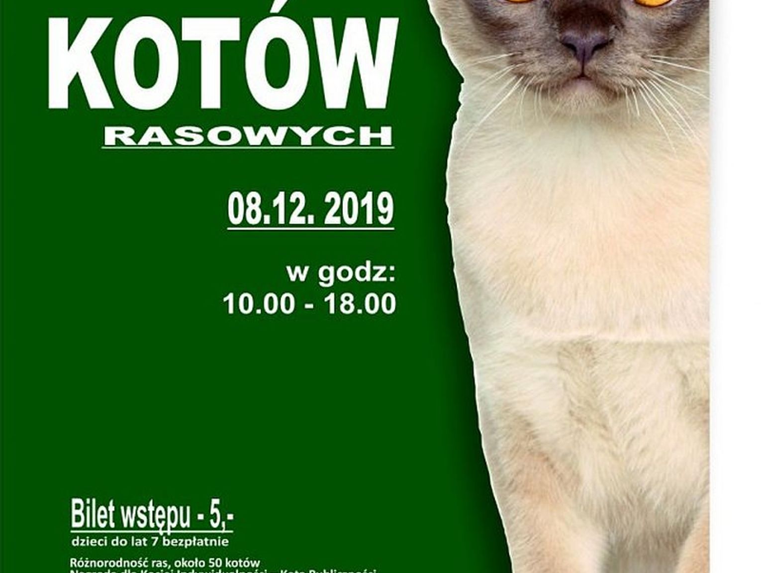 Muzeum zaprasza na pokaz kotów rasowych