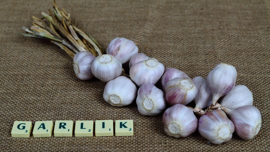 10 wskazówek od native speakera, jak nauczyć się angielskiego