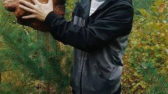 3 kilogramy jednego grzyba