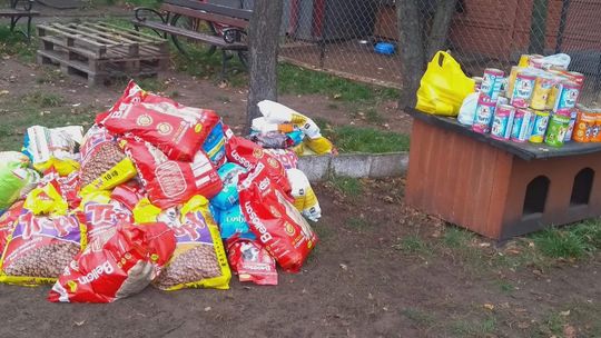 360 kg karmy dla zwierząt od kibiców Lechii  
