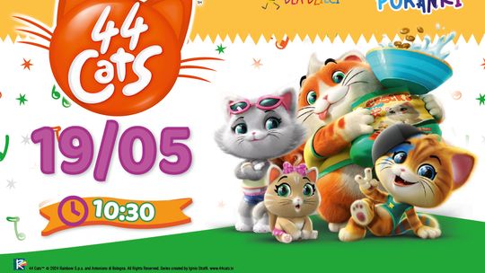 ,,44 Koty’’ na ekranach kin Helios   w ramach cyklu Filmowy Poranek