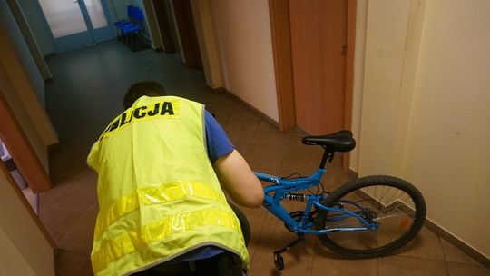 5 lat za kradzież roweru