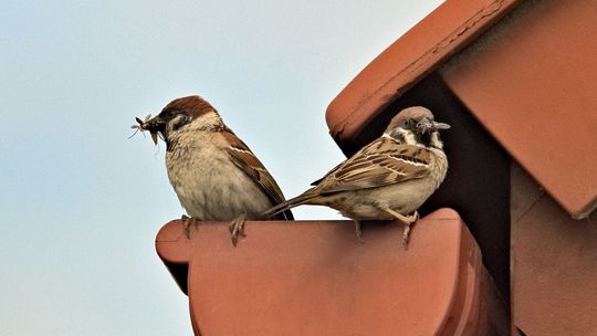 6 sygnałów, że tkwisz w toksycznym związku