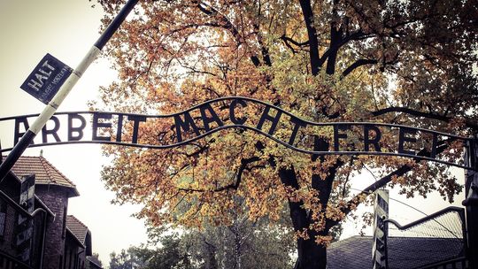 84 lata temu Niemcy przywieźli pierwszych Polaków do Auschwitz