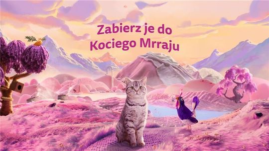 9 na 10 opiekunów kotów w Polsce uważa, że ich kot ma unikalną osobowość - sprawdź, co czyni pupila szczęśliwym 9 na 10 opiekunów kotów w Polsce uważa, że ich kot ma unikalną osobowość - sprawdź, co czyni pupila szczęśliwym