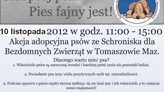 Adoptuj psa. Pies fajny jest!
