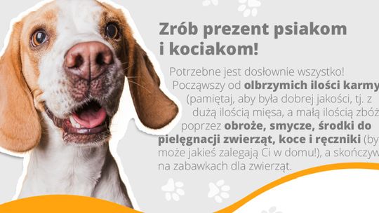 Akcja #ZoodoptujMobilizuje dotarła do Tomaszowa Mazowieckiego!