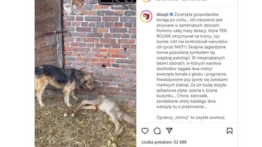 Aktywiści z wyrokami i prokuratorskimi zarzutami