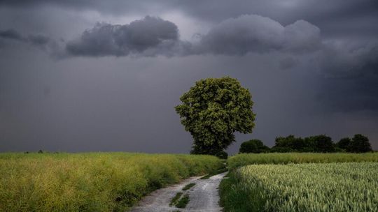 Alert RCB i ostrzeżenia IMGW I i II stopnia dla całego kraju przed burzami i silnym wiatrem