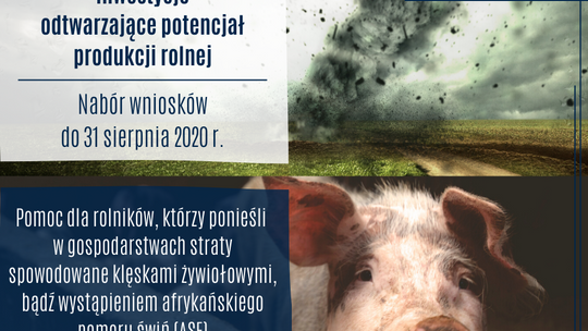ARiMR: 300 tys. zł na odtworzenie potencjału gospodarstwa