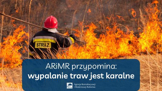 ARiMR przypomina: wypalanie traw jest karalne