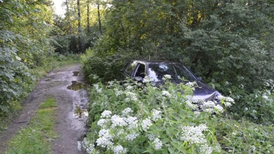 Auto schował w krzakach