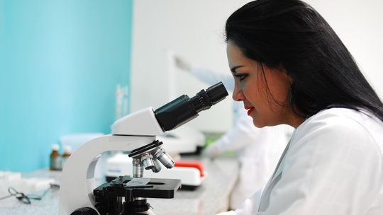 Badania biologów UŁ: inwazyjne skorupiaki kiełże wypierają z mazurskich jezior rodzime gatunki