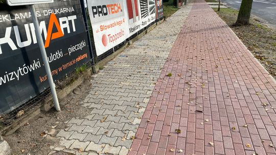 Batorski z Kubiakiem „wyremontowali” chodnik przy ul. Szerokiej