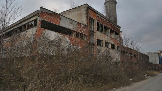 Bawili się w wojnę, jeden został ranny