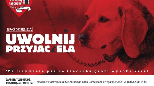 Będą protestować przeciw łańcuchom