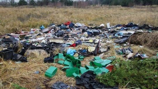 Będą sprzątać i co z tego