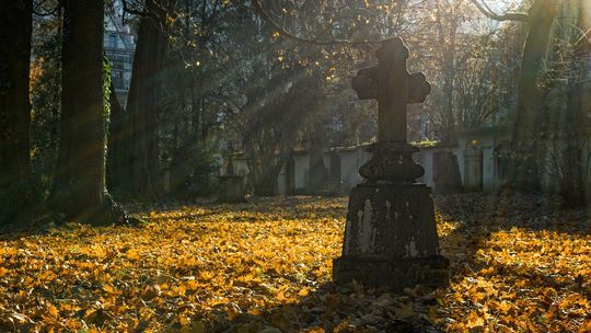 Będzie kolejna kwesta na tomaszowskim cmentarzu