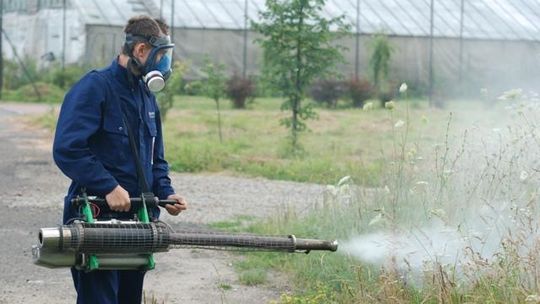 Bez komarów tylko na przystani