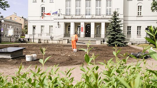 Biało-czerwone kwiaty upiększą centrum miasta