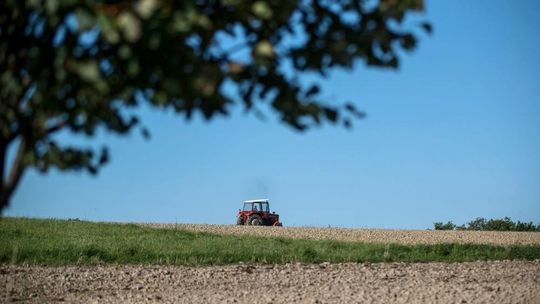 BIG InfoMonitor: rolnicy z blisko 680 mln zł długu