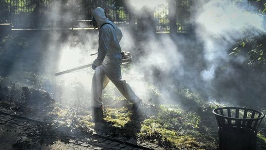 Biolog: opryski przeciwko komarom i kleszczom to nie jest rozwiązanie
