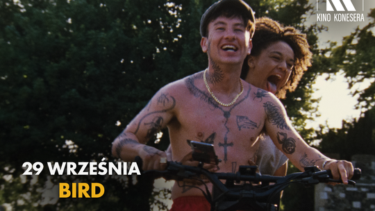 „Bird” – lato, które uczy latać