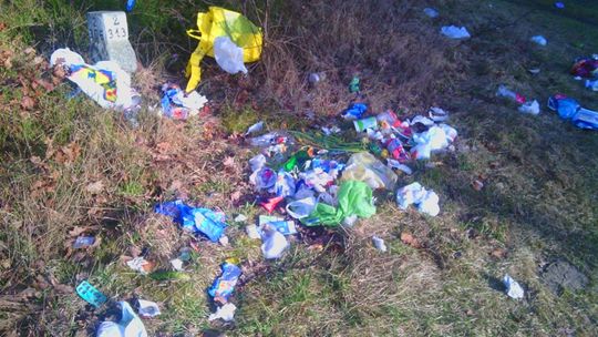 Bo łatwiej jest wywieźć do lasu?