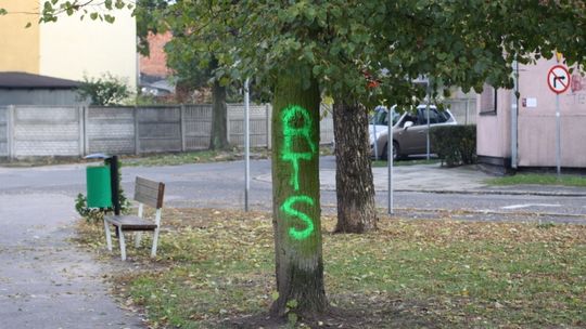 Bo tak podpowiada psi instynkt