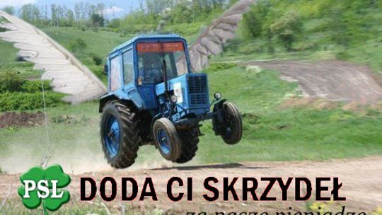 Budżetowe koniczynki