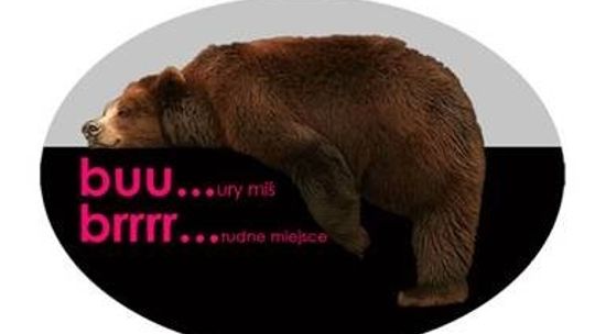 Bury Miś