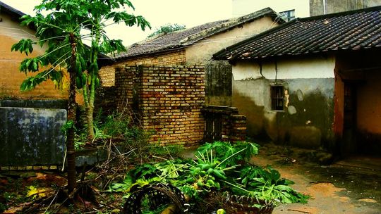 Chiny (Guangxi) - Humory, zachcianki i inne skorupiaki