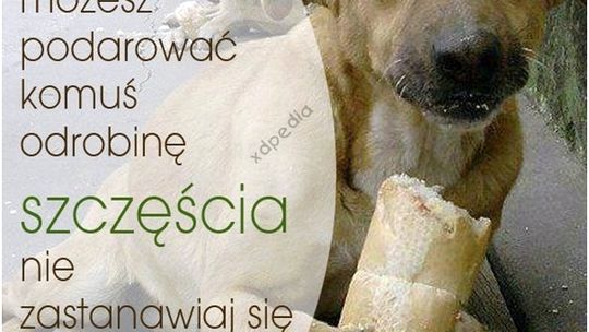 Ci z „Dziesiątki” widzą i czują