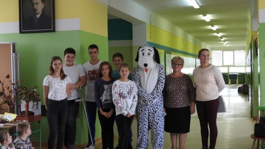 Ciapek w Rokicinach