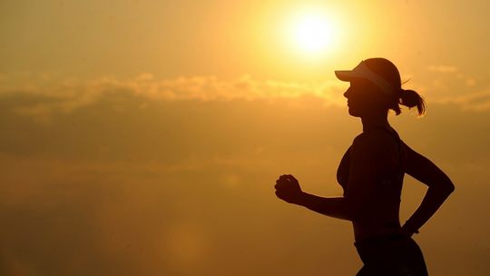 Co to jest Wings for Life World Run?