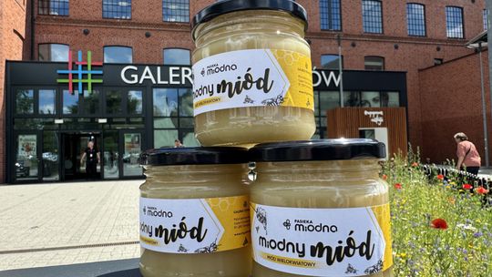 "Cud miód" - rekordowe zbiory w Galerii Tomaszów