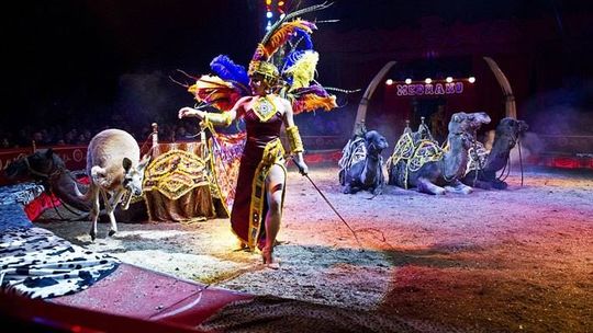 Cyrk Medrano zaprasza na włoskie show!