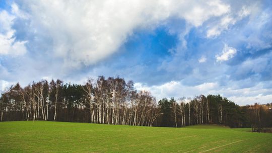 Czy czeka nas wiosna pełna słońca? Sprawdź prognozę długoterminową
