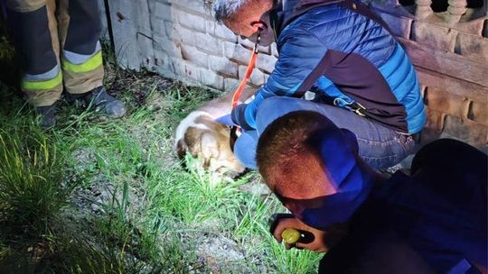 Czy sprawcy poniosą odpowiedzialność?