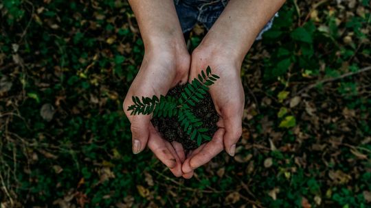 Czym są nature credits i jak skorzystać z nowych dotacji UE na ochronę środowiska w 2025 roku?