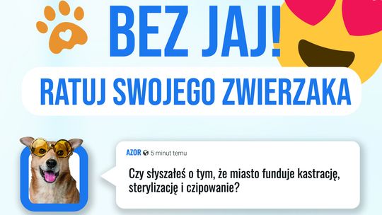 Darmowa kastracja, czipowanie, szczepienia przeciw wściekliźnie!