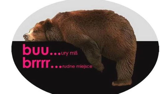 Debata z Burym Misiem