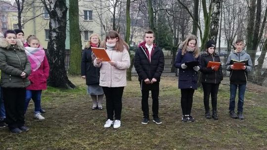 Dębowa Aleja Niepodległości w SP9