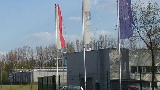Detale, które sprawiają ból