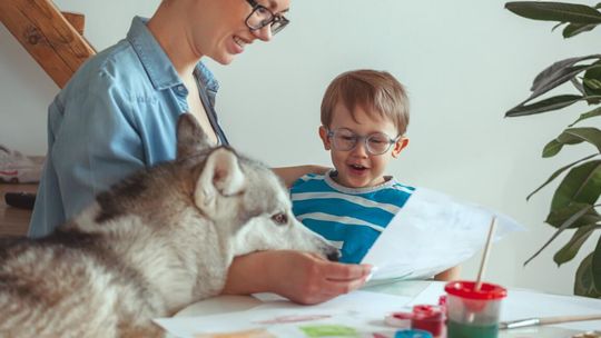 Dlaczego warto zostać dogoterapeutą i jak wykorzystać więź człowiek–pies w terapii?