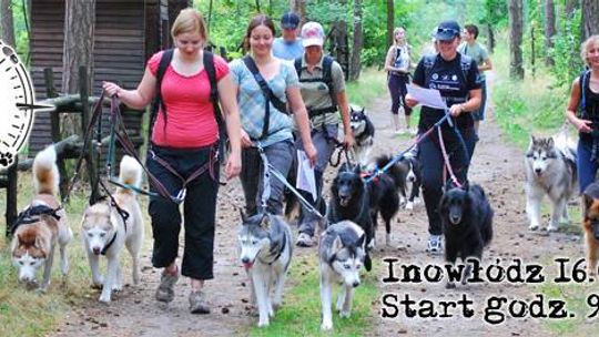 Dog Trekking w spalskich lasach