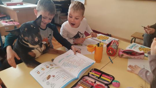 Dogoterapia w grupie przedszkolnej "0" w Szkole Podstawowej nr 6