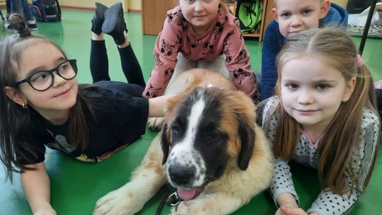 Dogoterapia w przedszkolu