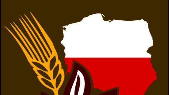 Dożynki bez kampanii wyborczej... za to z Budką Suflera