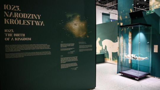 Dr Marcin Napiórkowski: królestwo to nie tylko książęta i królowie, ale również zwykli ludzie